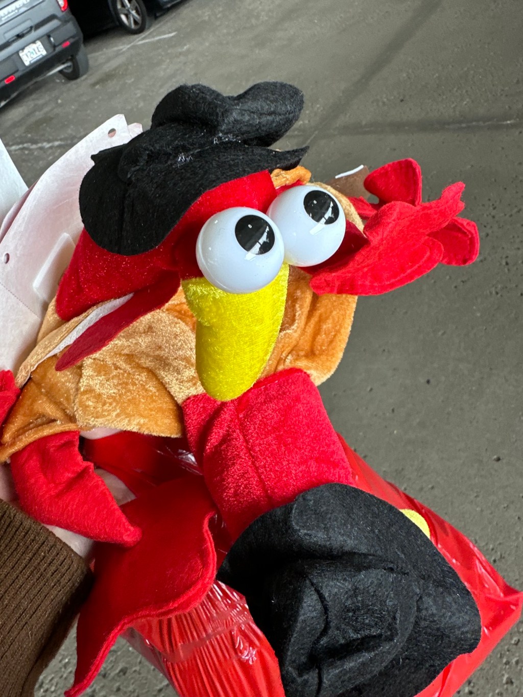 Trotting with Turkeys