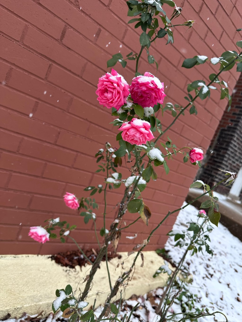 Navigating the Quicksand