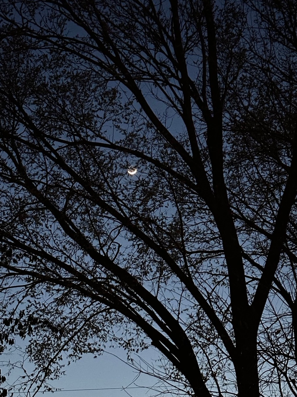 What do you&nbsp;want