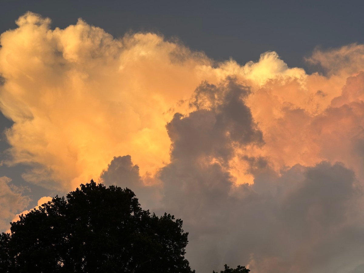 Stalking Superstitions